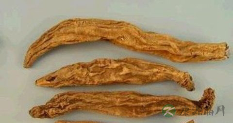 清热解毒的茶饮 清热解毒的茶饮