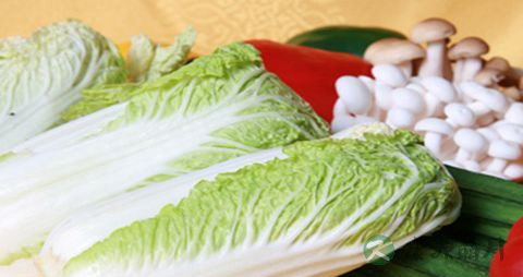 有风湿吃什么好