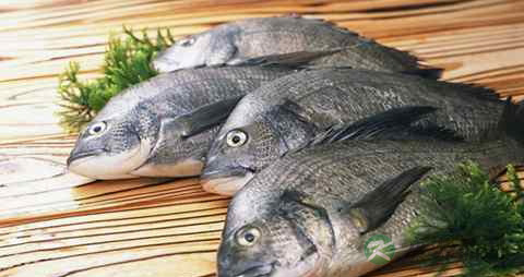 生长发育吃什么