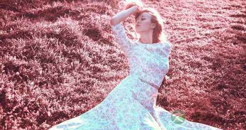 今日宜：吃烤红薯