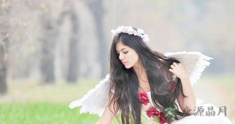 超级有效的贫血补血食谱