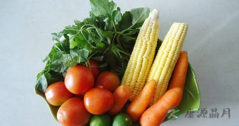 蔬菜有什么营养功能