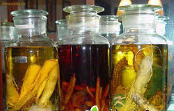 累了吃点抗疲劳药膳