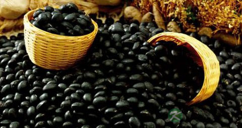 神经性耳鸣食疗 神经性耳鸣食疗