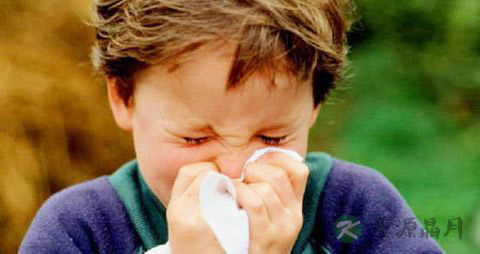 鼻咽炎的食疗方法 鼻咽炎的食疗方法