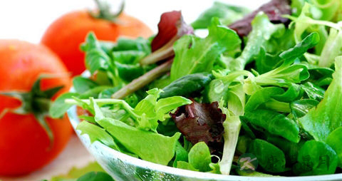 养肝明目茶配方