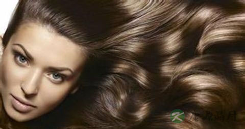 防止脱发方法 防止脱发方法