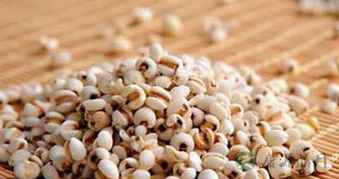 孩子增强免疫力吃什么