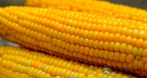 甘油三酯高饮食注意 甘油三酯高饮食注意