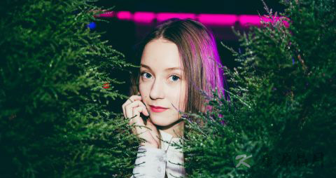 8种平价食物补血一流