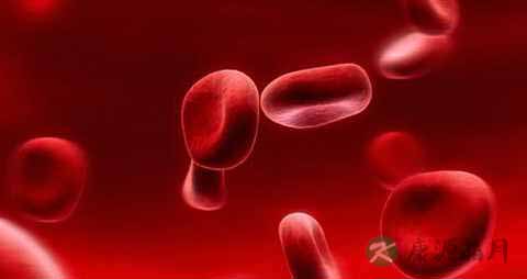 自身免疫性溶血性贫血饮食