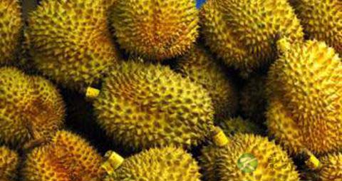 女性冬季吃什么食物 女性冬季吃什么食物