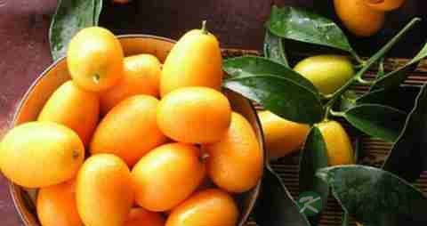 口干口苦吃什么好 口干口苦吃什么好