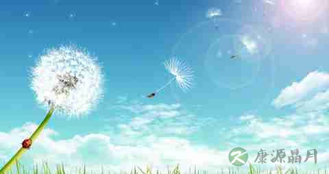 清热解毒的药有哪些 清热解毒的药有哪些