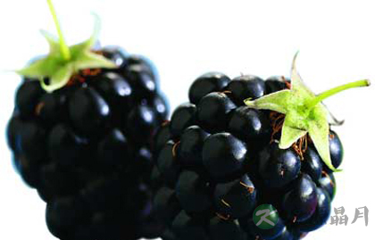 食物色不同　保健各有异