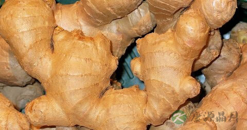怎么快速缓解感冒