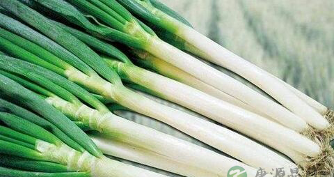 伤风怎么治