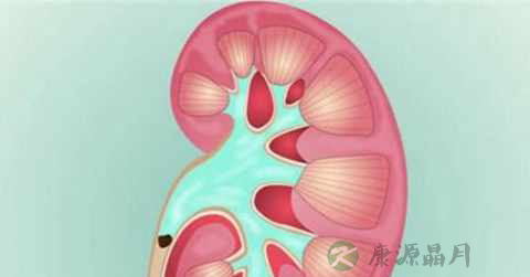 肾轻微积水怎么办