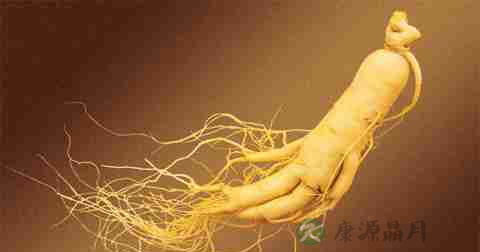 肾囊肿怎么调养