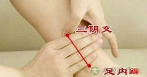 什么中药泡茶能壮阳