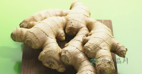补阳虚的食物
