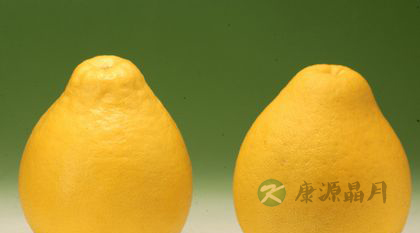 肺热吃什么水果好