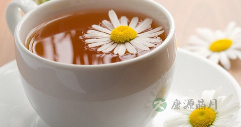 清喉冰菊茶的做法