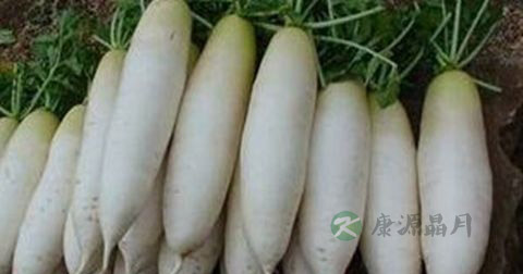 有痰者如何镇咳