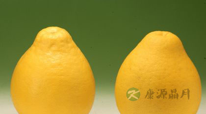 肺火旺吃什么水果好