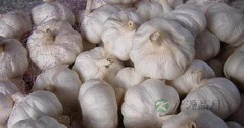 喝什么茶去肝火排肝毒