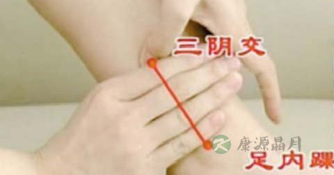 疏肝解郁的花茶是什么