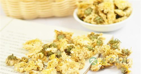 什么花茶可以去肝火
