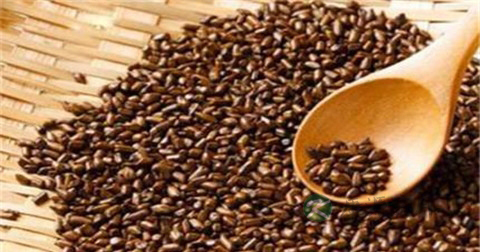 什么中药泡茶喝去肝火