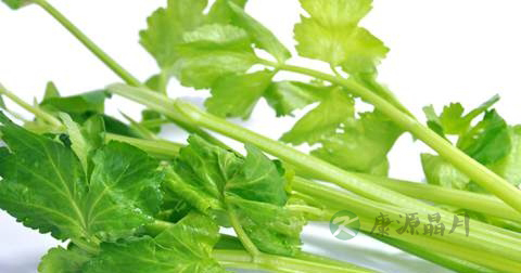 肝热吃什么排毒最快