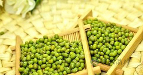 哪些食物可以排肝毒
