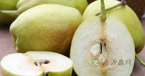 肝脏不好头发油怎么办