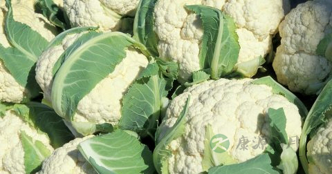 吃5种食物最有益肝脏健康