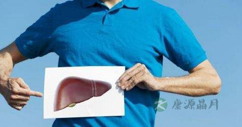 肝是人体的什么器官