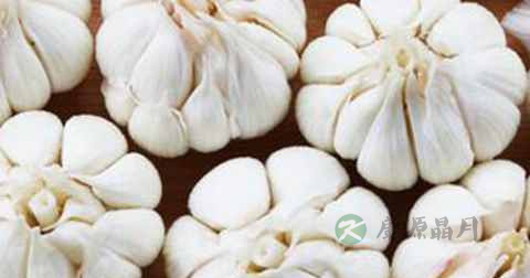 脂肪肝吃什么食物好