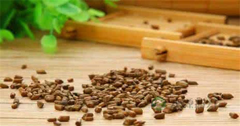 什么花茶是保肝养肝