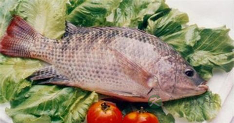 排肝毒最佳是几点