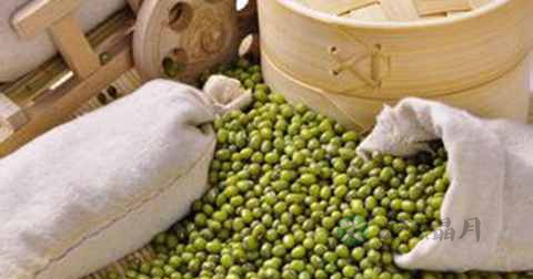肝脏排毒吃什么食物