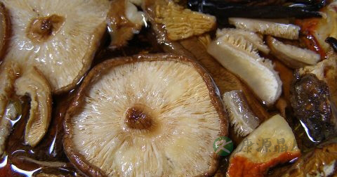 丙肝的最佳治疗方法