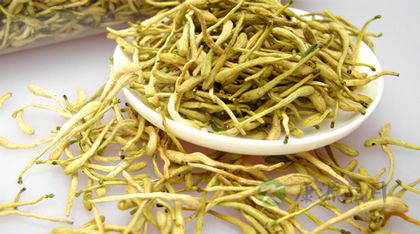 肝热吃什么中药好