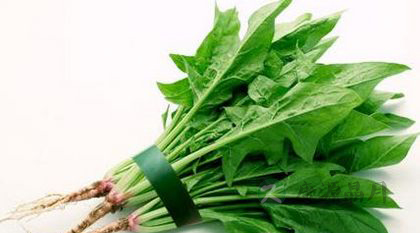 10种护肝的平民食物