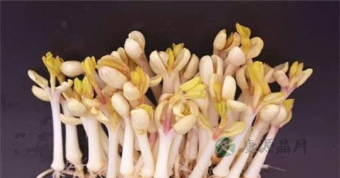 如何确定胆囊息肉类型