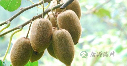先天性黄疸怎么办