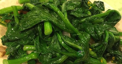 胆的生理功能
