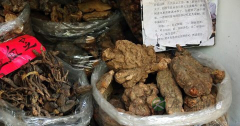 胆囊泡疹的症状