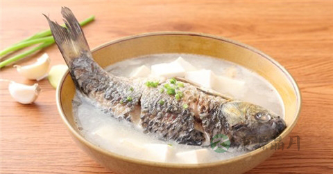 胆息肉术后的护理